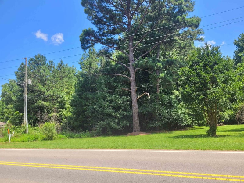 0 Bass Lake Rd, Holly Springs, NC 27540