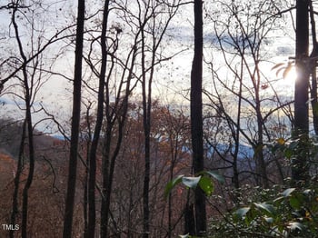 Bear Cove Cir, Bryson City, NC 28713