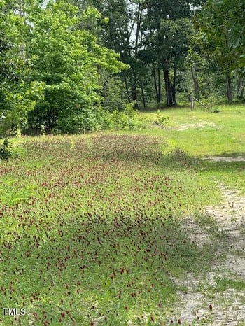 Beasley Rd, Benson, NC 27504