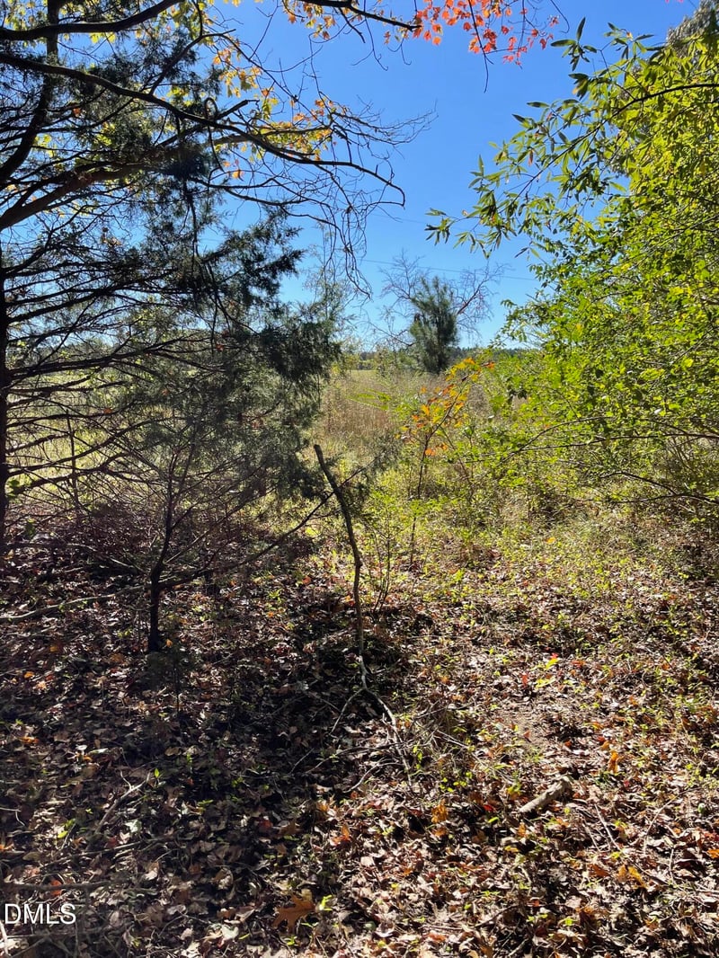 0 Beasley Rd, Louisburg, NC 27549