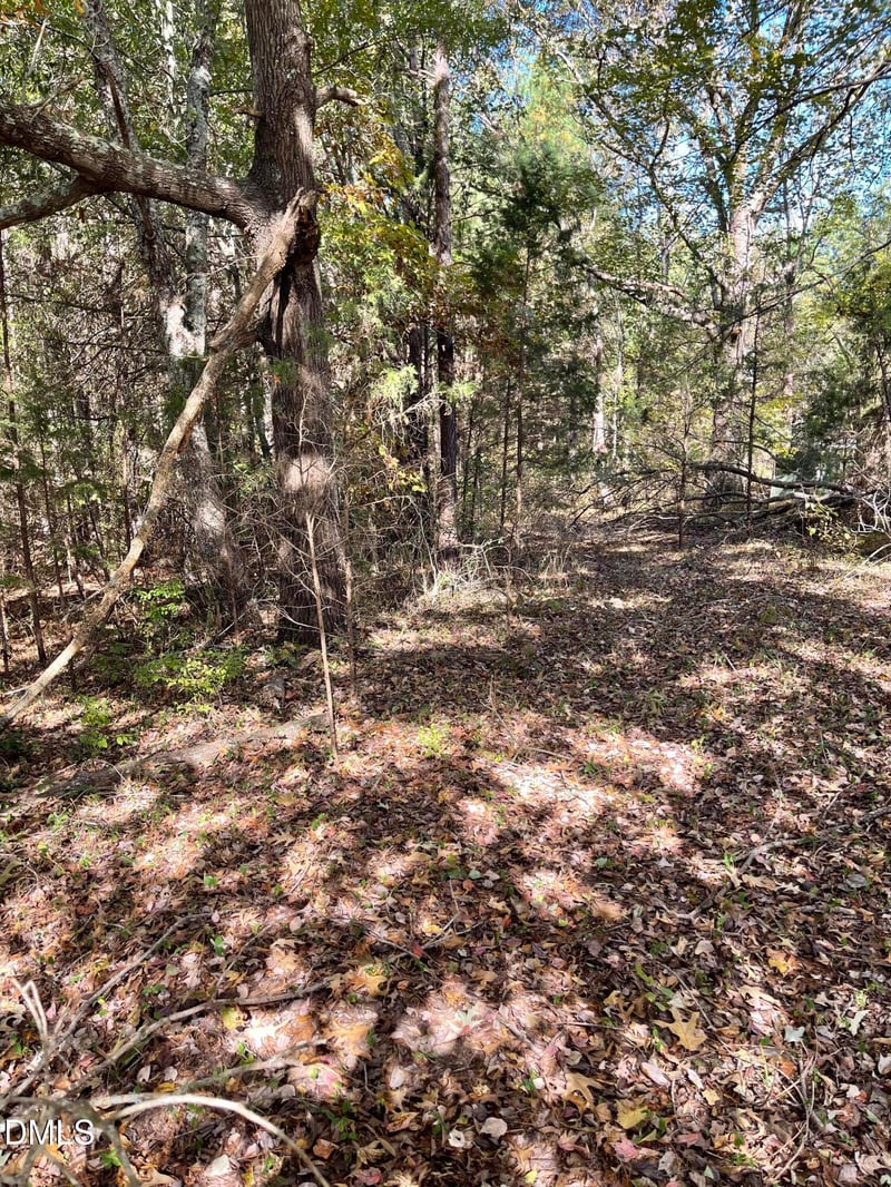 0 Beasley Rd, Louisburg, NC 27549