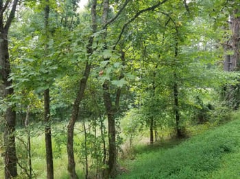 Beaver Creek Rd Lot Q8-5E, New Hill, NC 27562