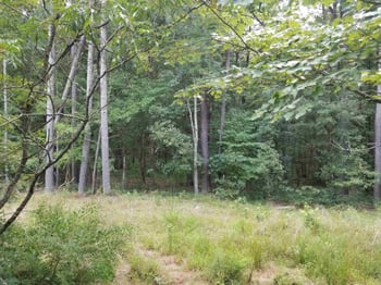 Beaver Creek Rd Lot Q8-5E, New Hill, NC 27562