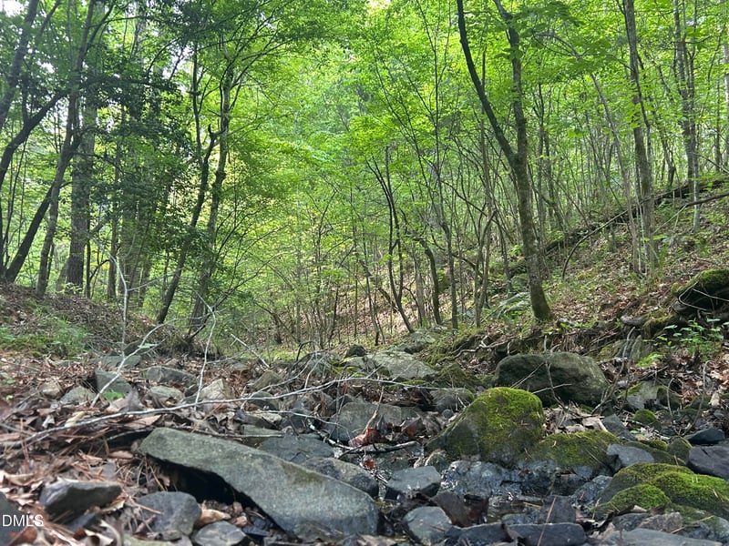 Beaver Dam Rd, Creedmoor, NC 27522