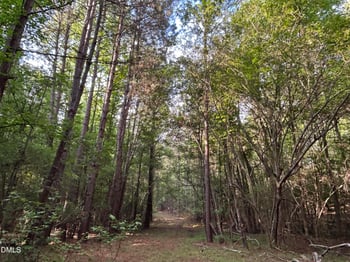 Beaver Dam Rd, Creedmoor, NC 27522