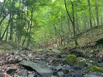 Beaver Dam Rd, Creedmoor, NC 27522