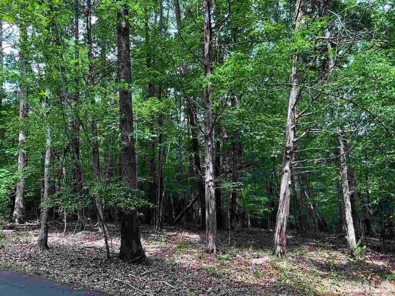 0 Beech Bluff Ln Lot 2, Hillsborough, NC 27705