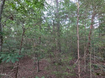 Bethel South Fork Rd, Graham, NC 27253