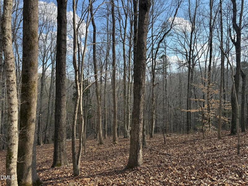 Birch Creek Farm Ln, Franklinton, NC 27525