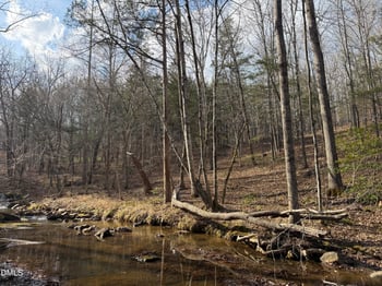Birch Creek Farm Ln Lot 4&5, Franklinton, NC 27525