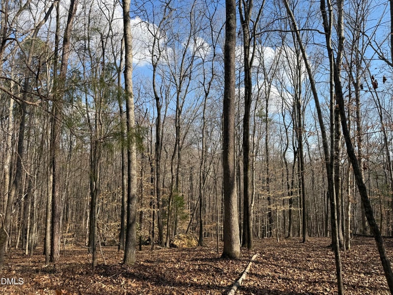 Birch Creek Farm Ln Lot 4&5, Franklinton, NC 27525