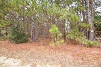 Bob Lee Ln, Dunn, NC 28334