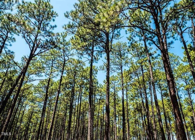Boone Cir Lot N/A, Sanford, NC 27330