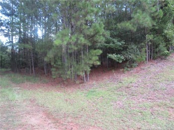 Boone Trail Rd, Sanford, NC 27330