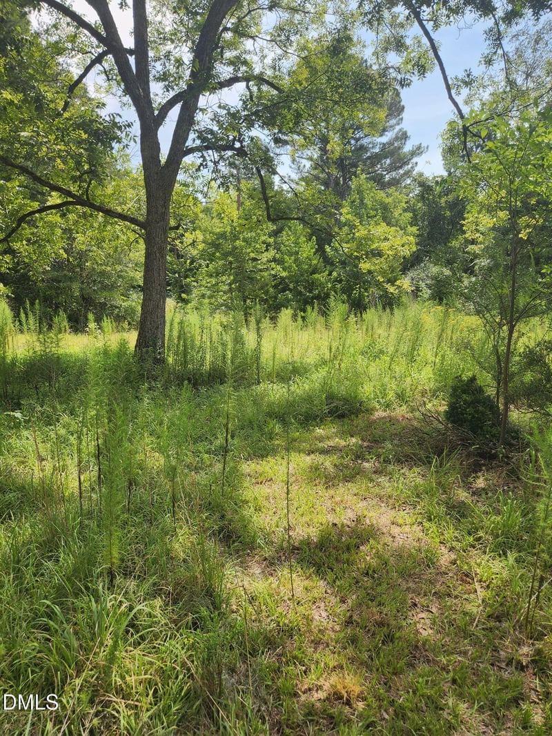 0 Bradshaw Quarry Rd Lot 1, Mebane, NC 27302