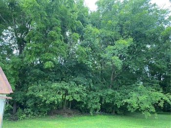 Broad St, Oxford, NC 27565