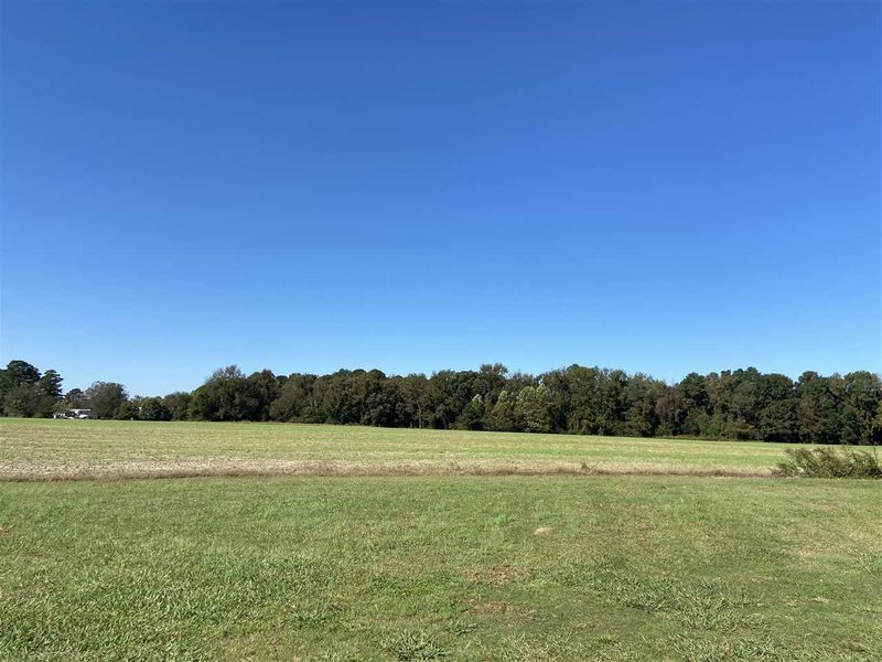 0 Brogden Rd Lot na, Smithfield, NC 27577
