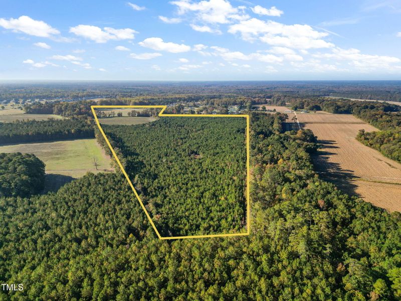 0 Brogden Rd, Smithfield, NC 27577