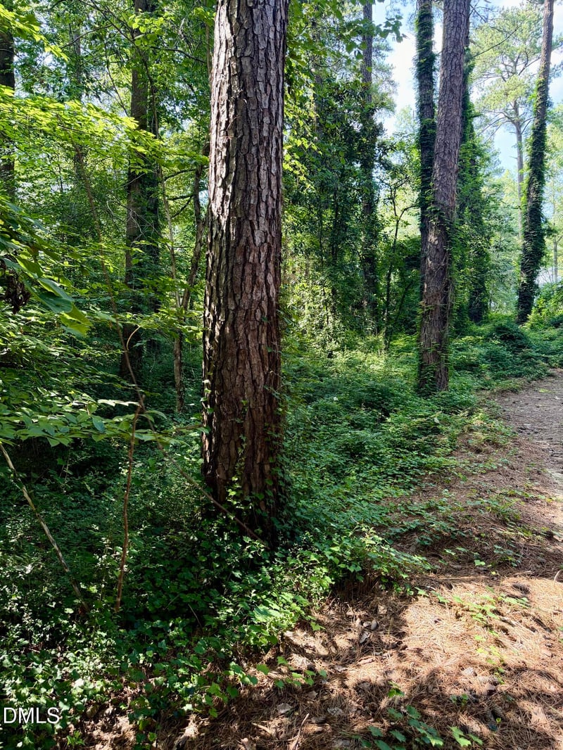 0 Brookside Dr Lot 9788146016, Chapel Hill, NC 27516