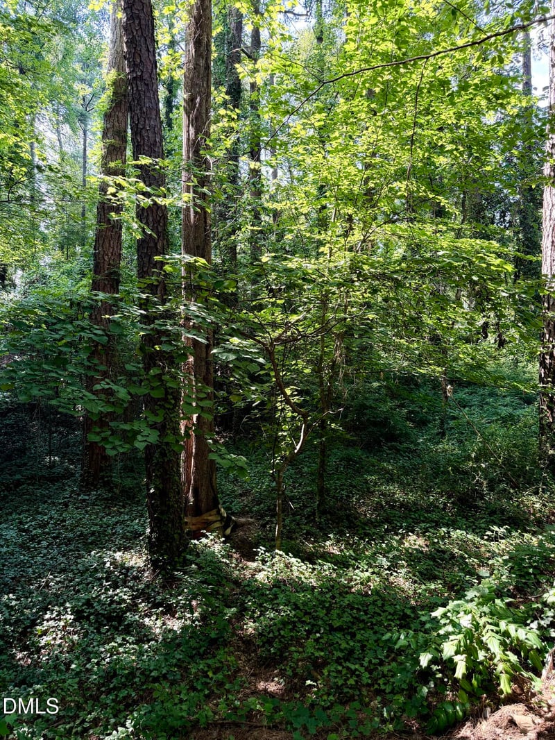 0 Brookside Dr Lot 9788146016, Chapel Hill, NC 27516