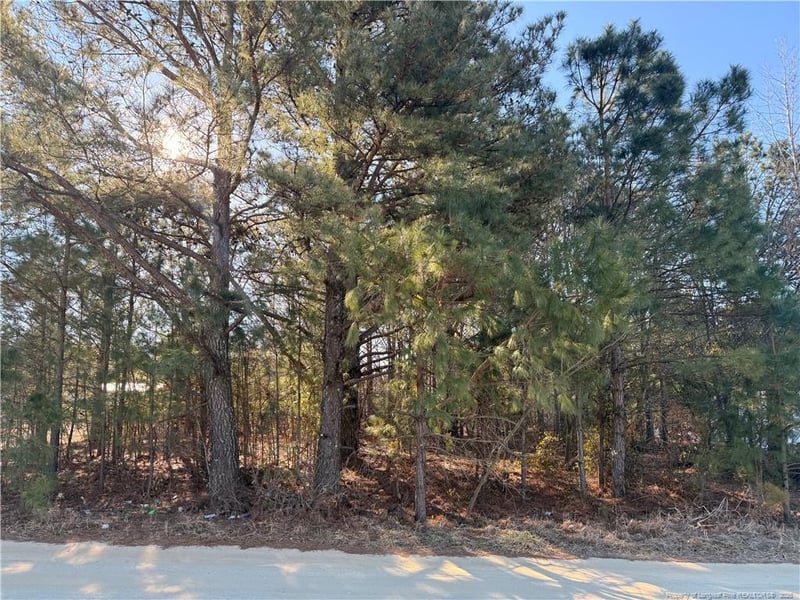 Brownestone Ln, Dunn, NC 28334