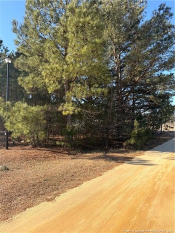 Brownestone Ln, Dunn, NC 28334