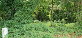 Buckhorn Duncan Rd, Holly Springs, NC 27540