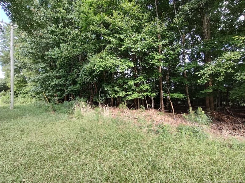 Buckhorn Rd, Sanford, NC 27330