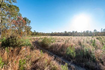 Buckner Clark Rd, Pittsboro, NC 27312