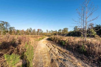 Buckner Clark Rd, Pittsboro, NC 27312