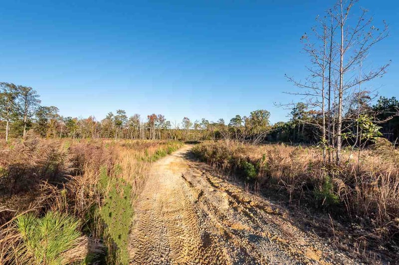 Buckner Clark Rd, Pittsboro, NC 27312
