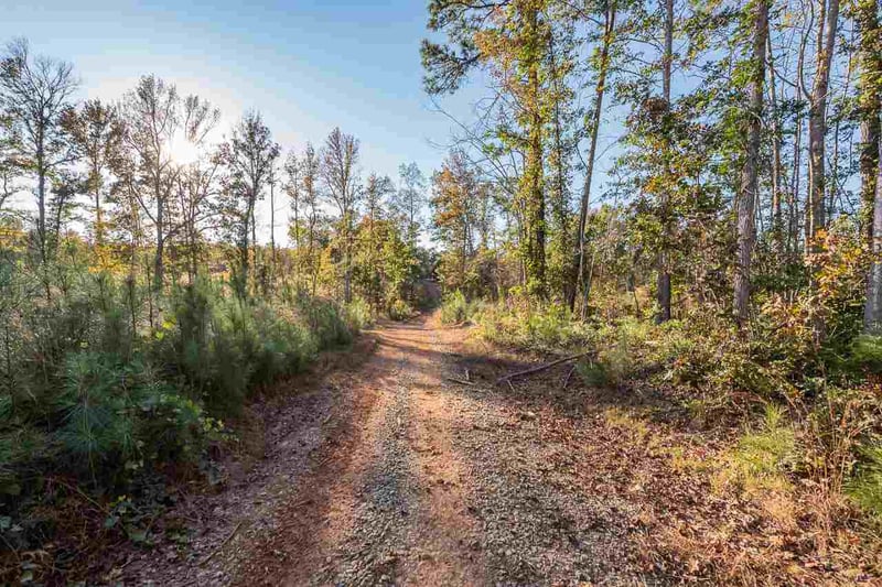 Buckner Clark Rd, Pittsboro, NC 27312