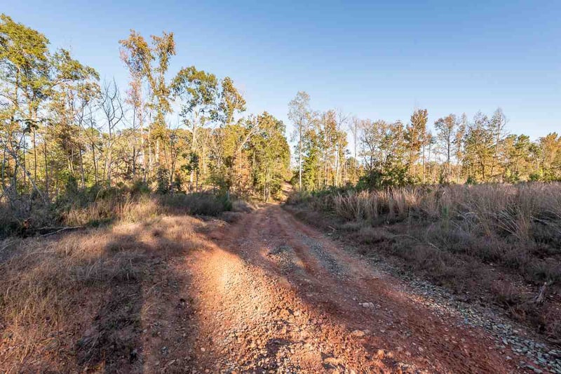 Buckner Clark Rd, Pittsboro, NC 27312