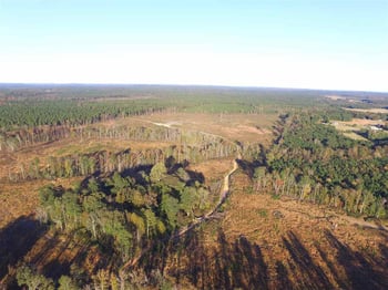 Buckner Clark Rd, Pittsboro, NC 27312