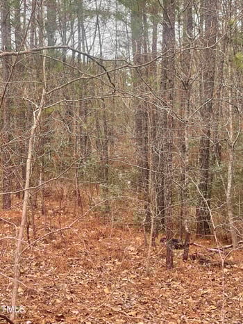 0 Bumpy Ln, Sanford, NC 27332