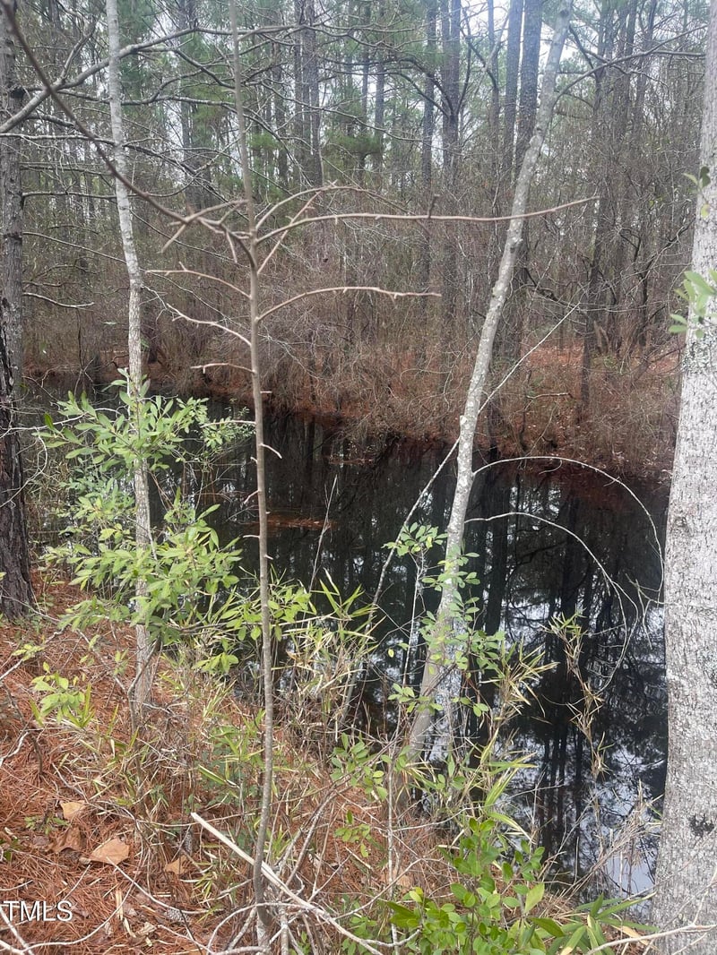 Bumpy Ln, Sanford, NC 27332