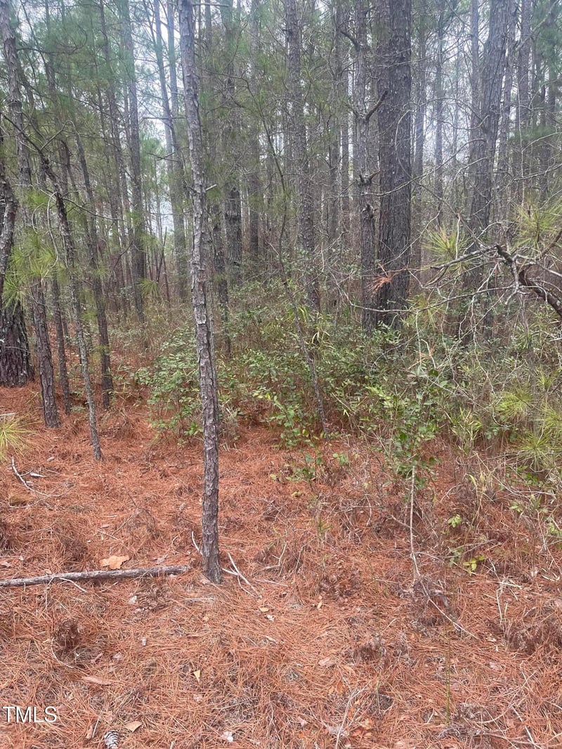Bumpy Ln, Sanford, NC 27332