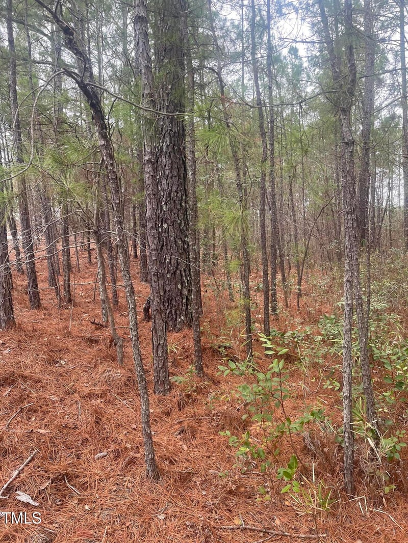 Bumpy Ln, Sanford, NC 27332
