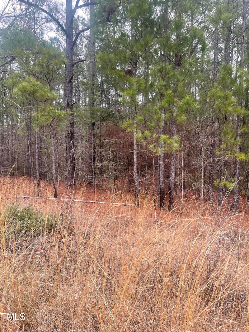 Bumpy Ln, Sanford, NC 27332