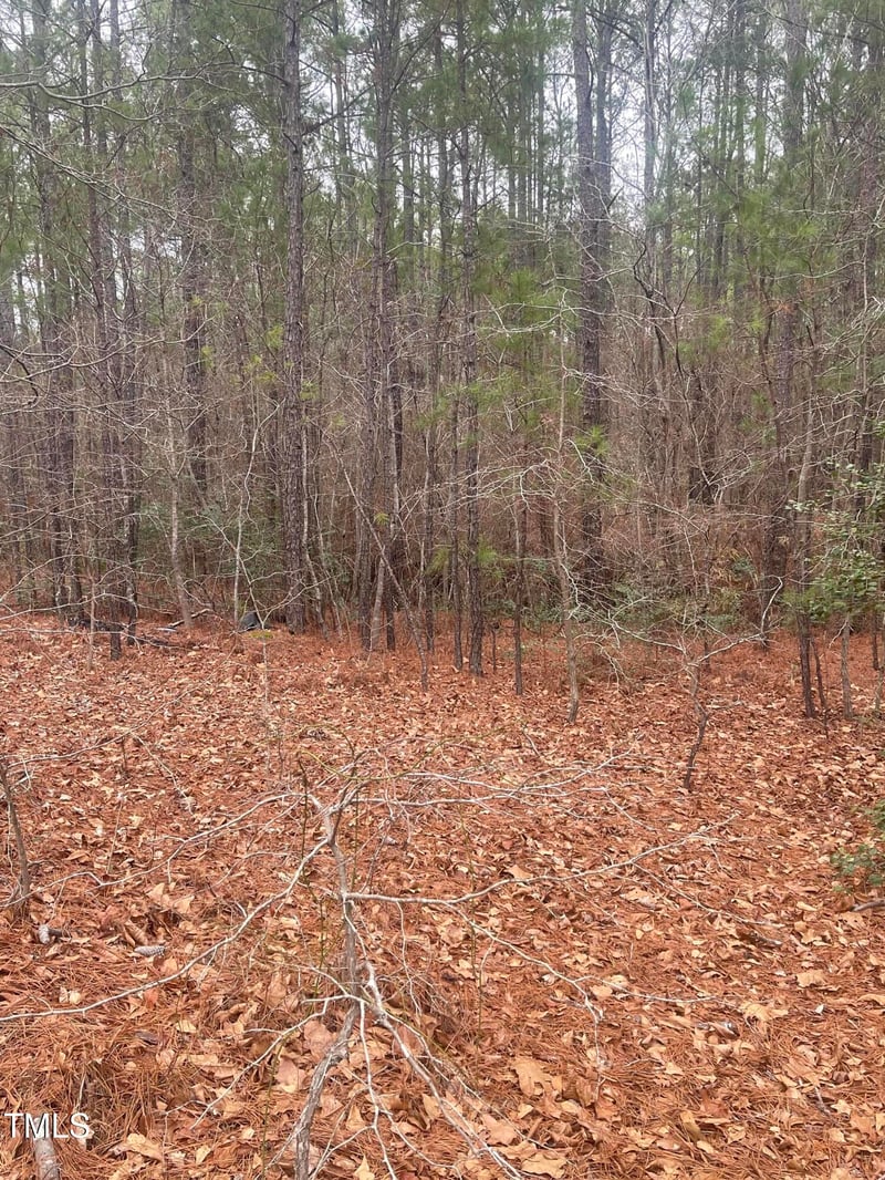 Bumpy Ln, Sanford, NC 27332
