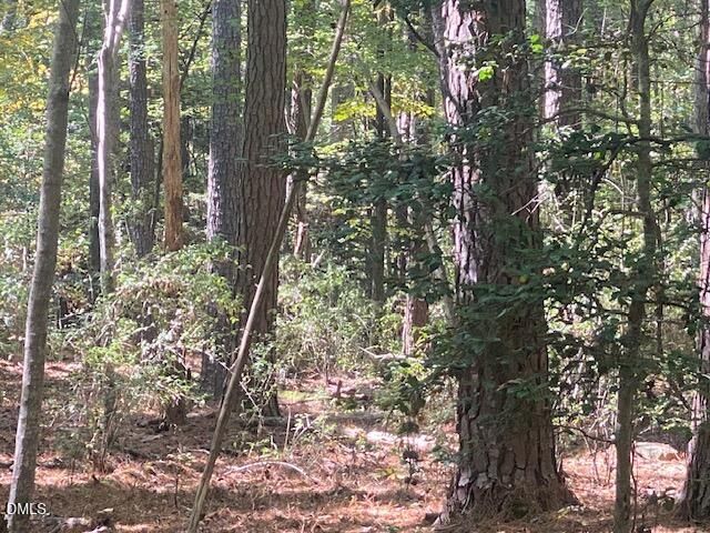 0 Bygone Way Lot 4A, Pittsboro, NC 27312