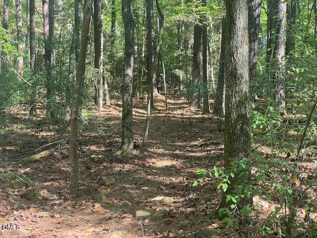 0 Bygone Way, Pittsboro, NC 27312