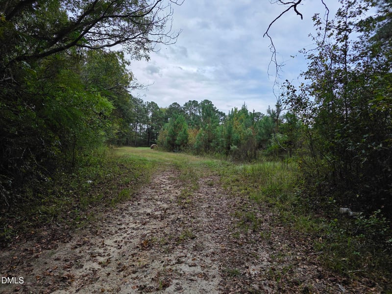 0 Camelia Rd, Benson, NC 27504