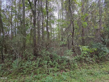 Camelia Rd, Benson, NC 27504