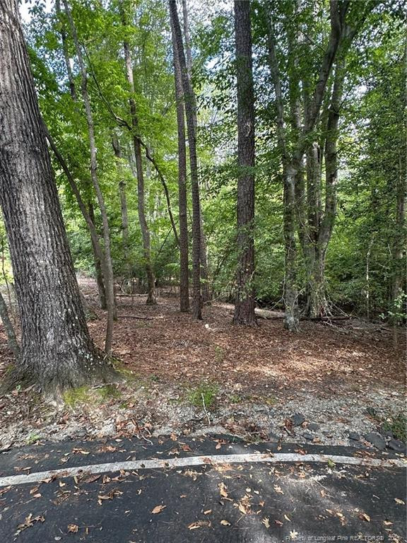 0 Cardinal Cir, Sanford, NC 27330