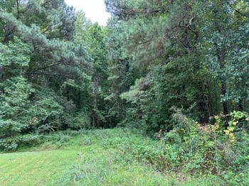 Cardinal Dr, Fuquay Varina, NC 27526