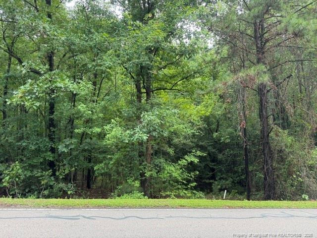 0 Carolina Way, Sanford, NC 27332