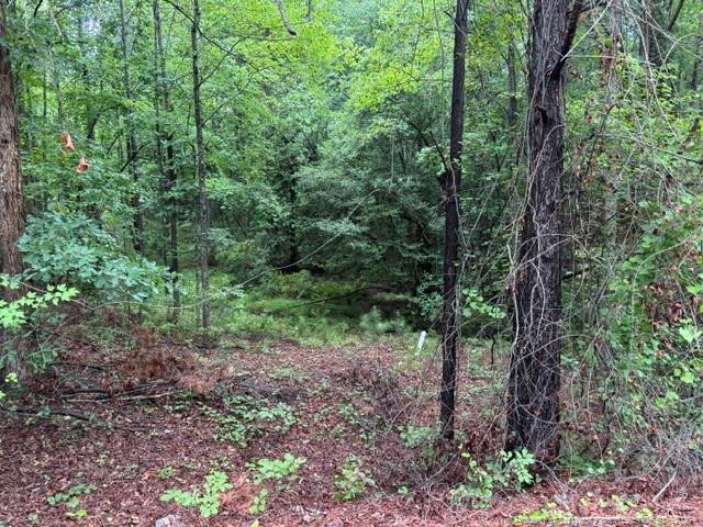0 Carolina Way, Sanford, NC 27332
