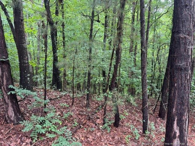 0 Carolina Way, Sanford, NC 27332