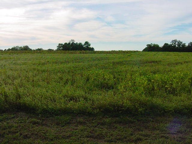 0 Carson Gregory Rd, Coats, NC 27521